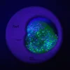 Petit Boum ·Nebula Sensory Moon