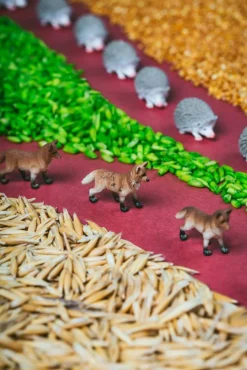 Petit Boum · Spy Bottle Forest