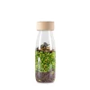 Petit Boum · Spy Bottle Jungle