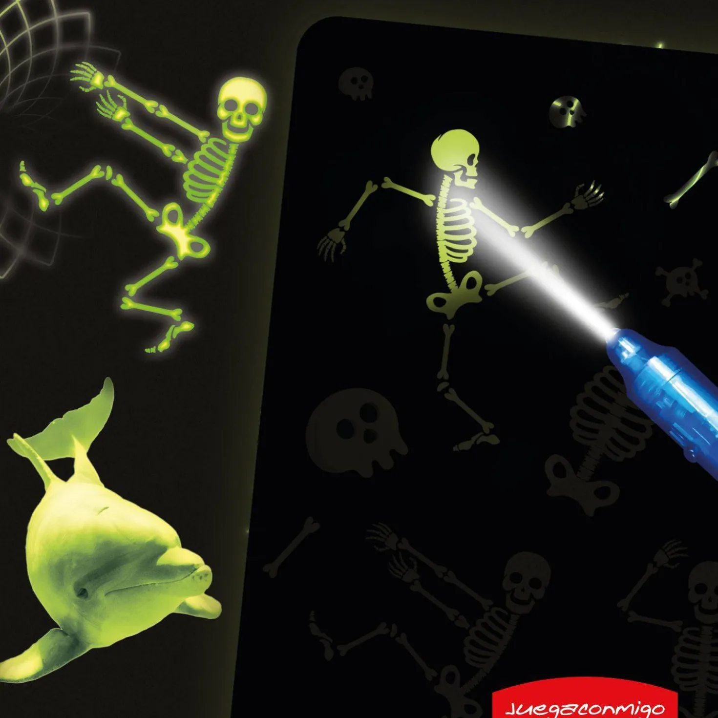 Pintafluo A3