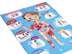Puzzle Cuerpo Humano · Hape