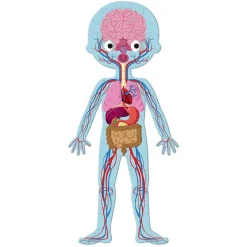 Puzzle · Cuerpo Humano - Janod
