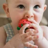 Sweetie the Strawberry