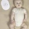 Tarjetas Milestone Baby Bunny · Little Dutch