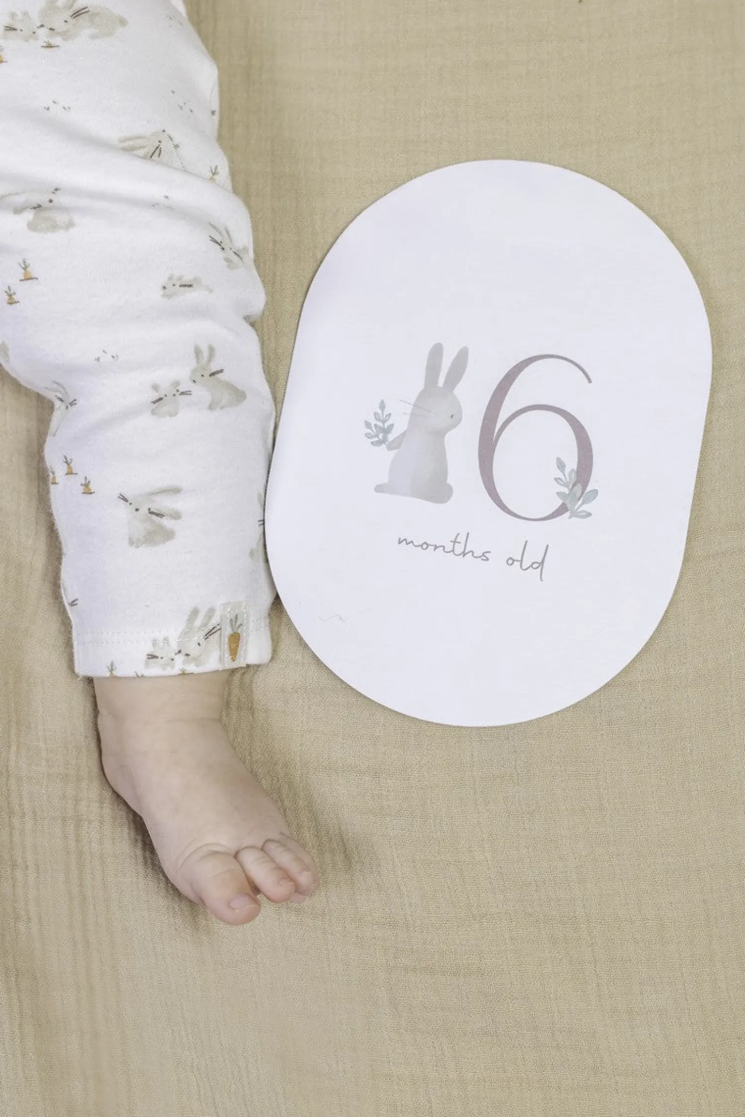 Tarjetas Milestone Baby Bunny · Little Dutch