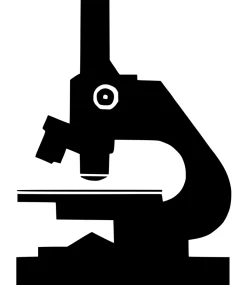 Taza Icon
