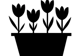 Taza Icon
