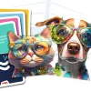 Team Quiz Challenge – Gatos vs. Perros · HABA