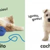 Toca y aprende Animales