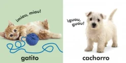 Toca y aprende Animales