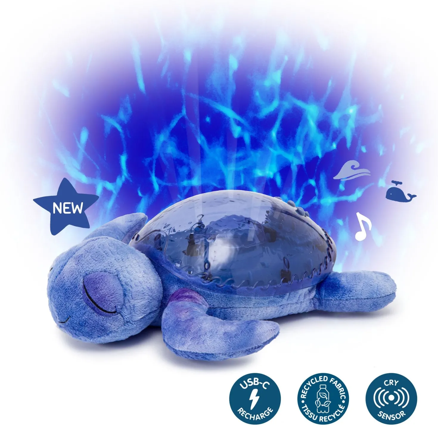 Tranquil Turtle · Cloud B