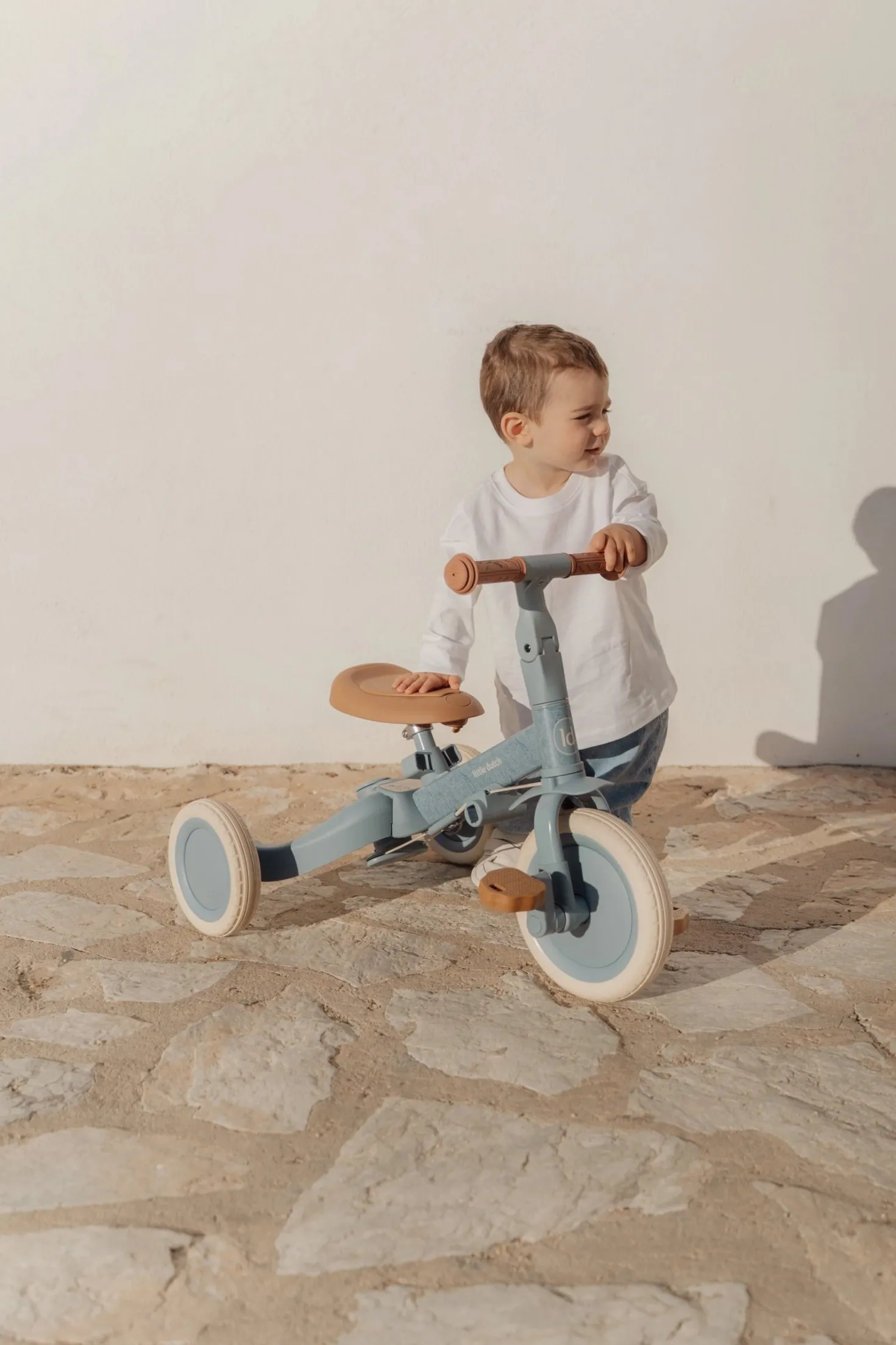 Triciclo con barra Safari Dreams Azul · Little Dutch