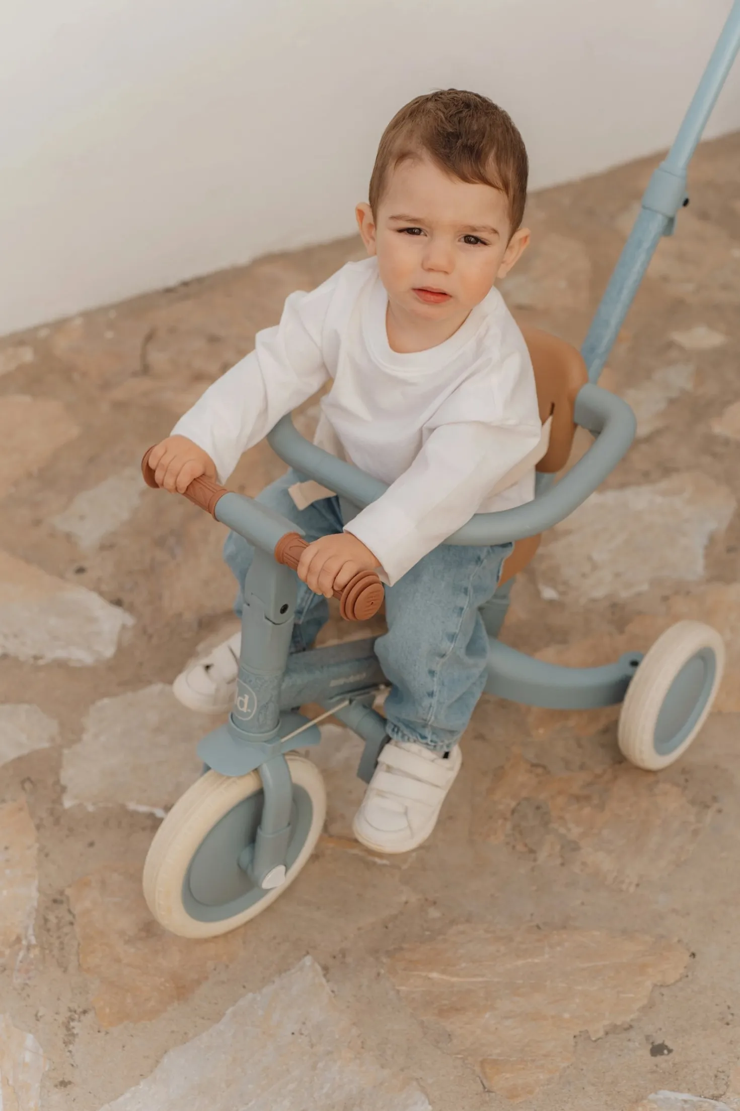 Triciclo con barra Safari Dreams Azul · Little Dutch