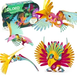 Tropical Birds · Clixo