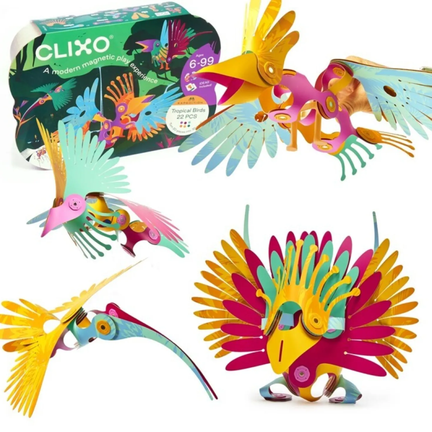 Tropical Birds · Clixo